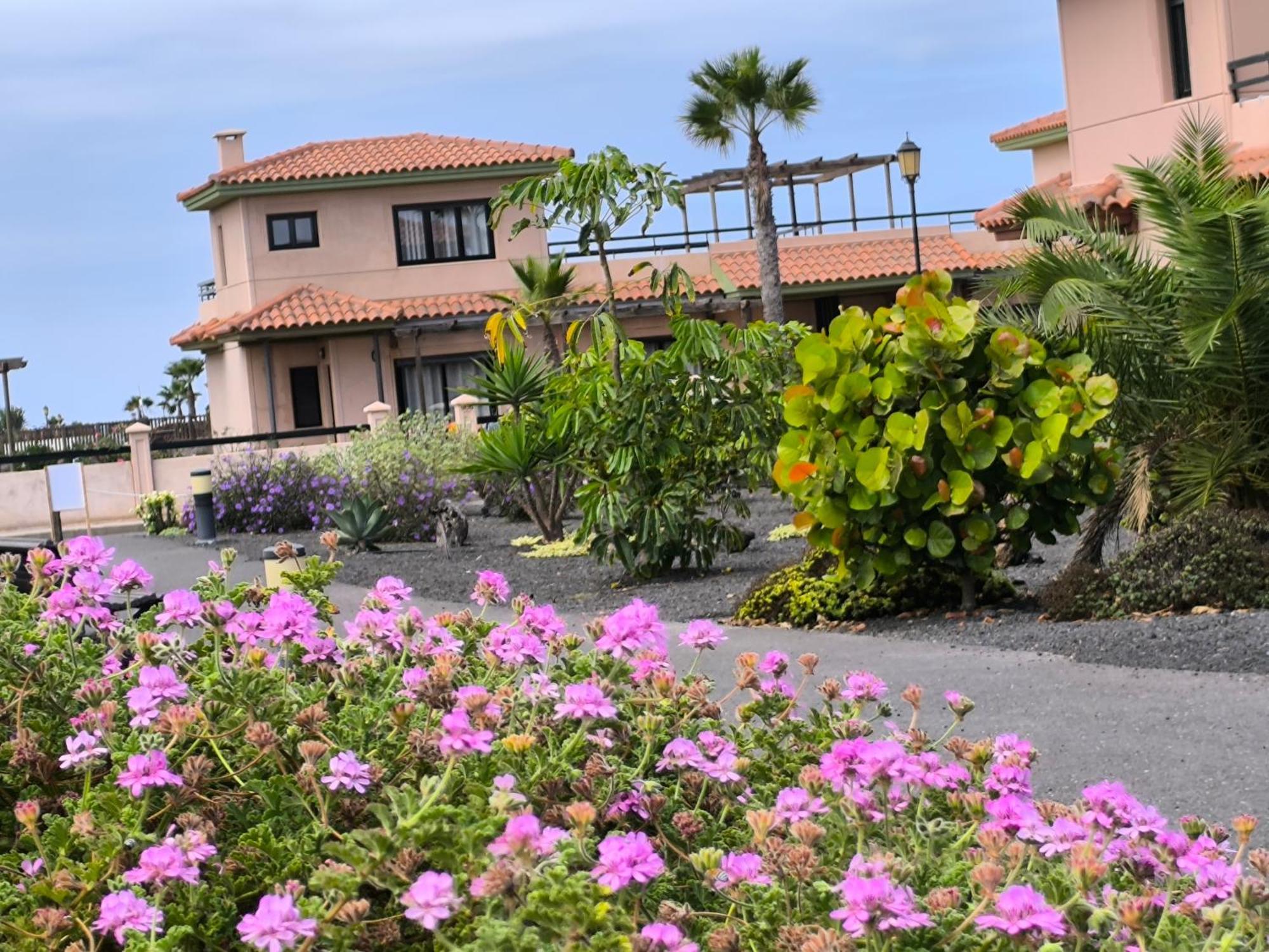 Apartament Marina *